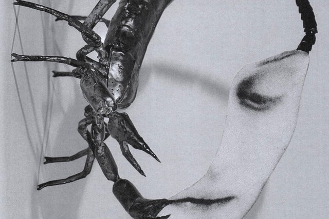 Presales to tortoise: members use these when buying pre-sale tickets