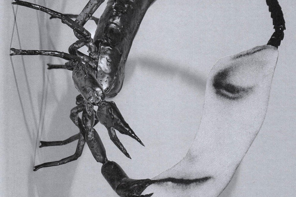 TORTOISE (USA) 2026 TOUR - EXTRA SHOW