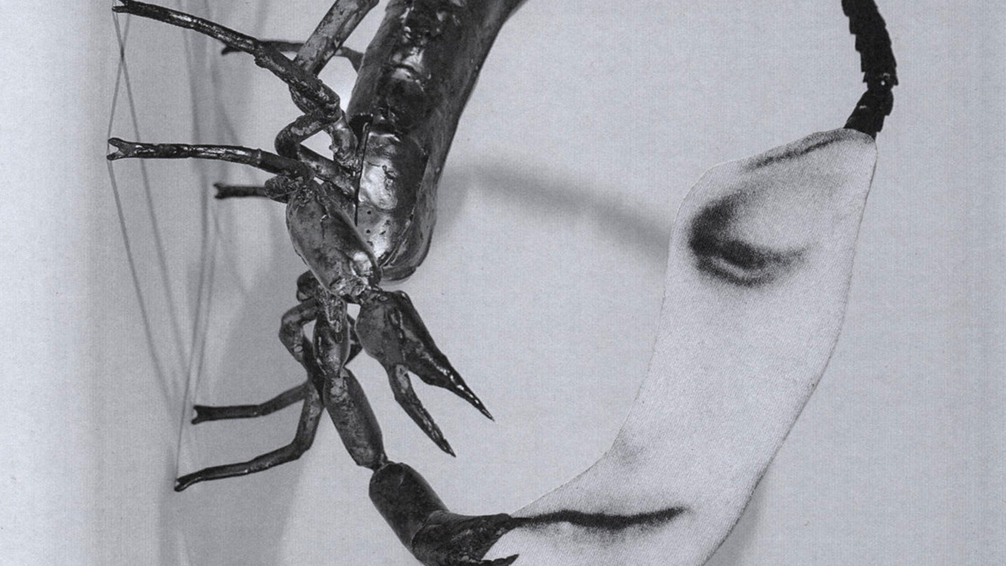 TORTOISE (USA) 2026 TOUR