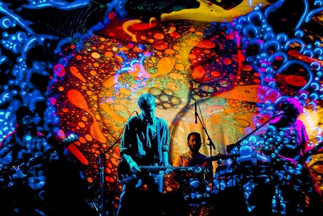 Presale codes for your arms are my cocoon: members use these when buying pre-sale tickets