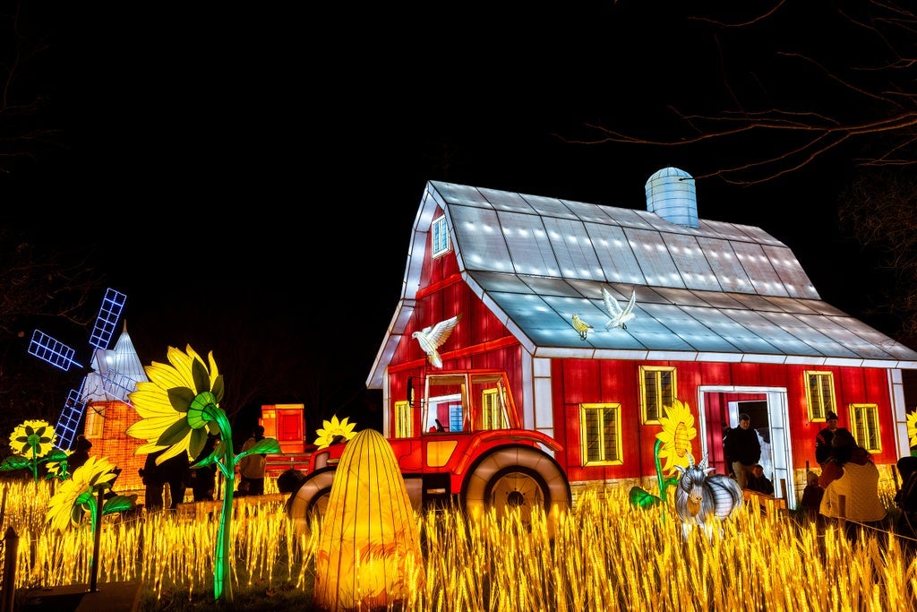 Tianyu Lights Festival Dallas 2025