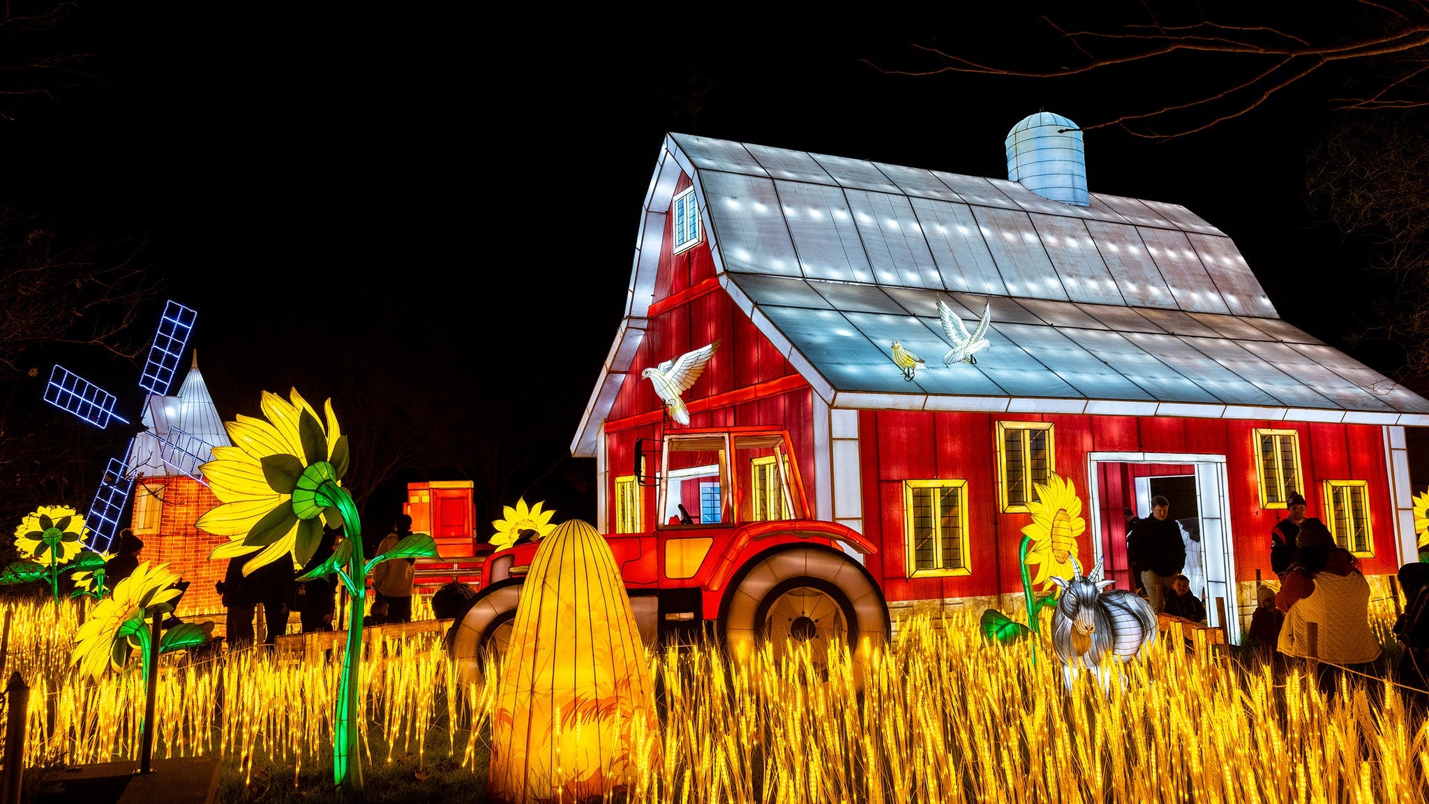 Tianyu Lights Festival Dallas 2025