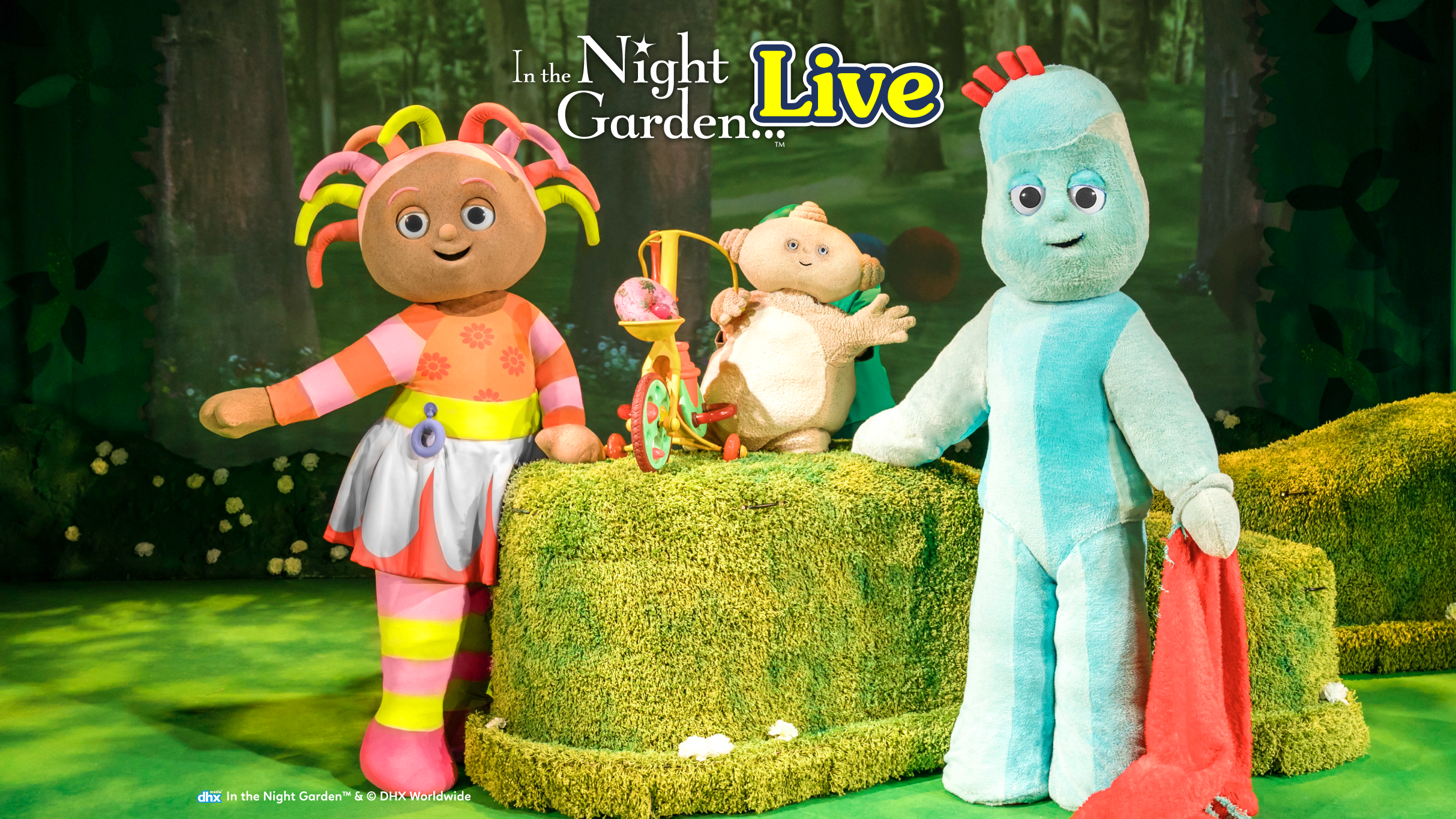 In The Night Garden