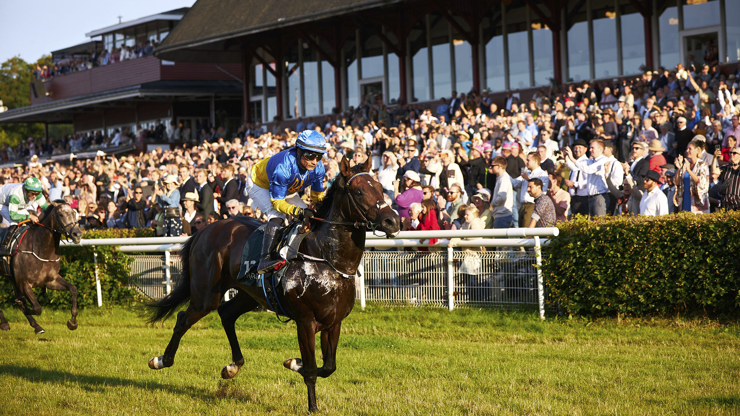 AUTUMN RACING