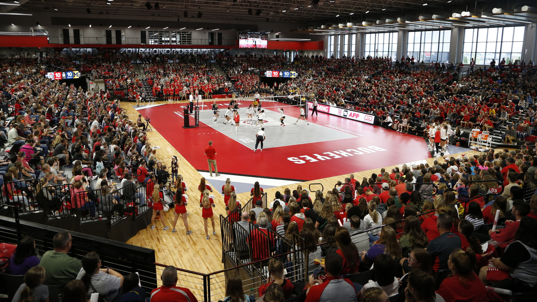 Ohio State Buckeyes Women's Volleyball