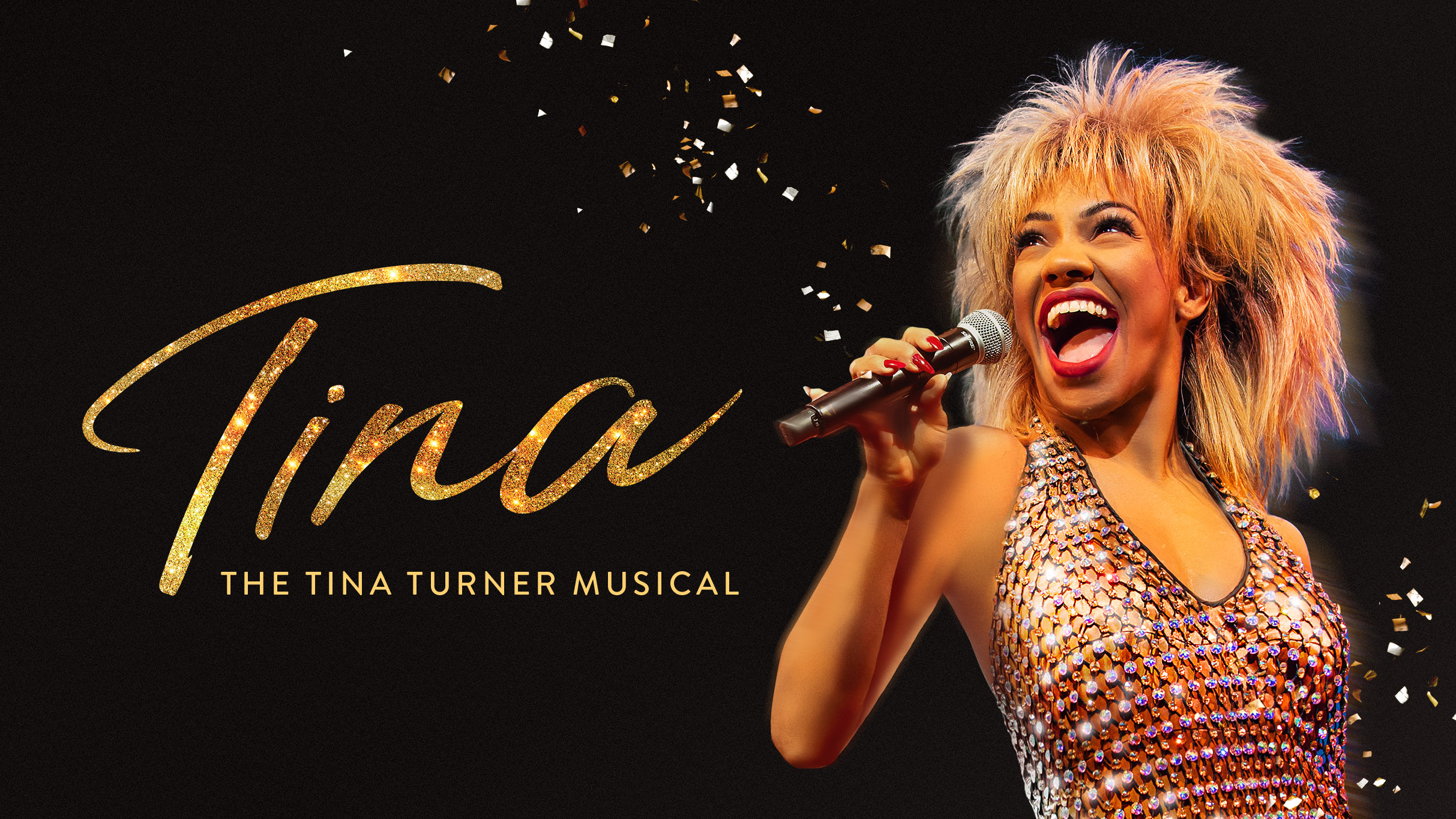 TINA - The Tina Turner Musical