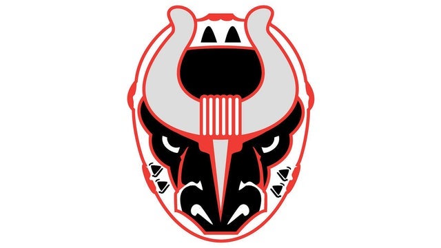 Birmingham Bulls