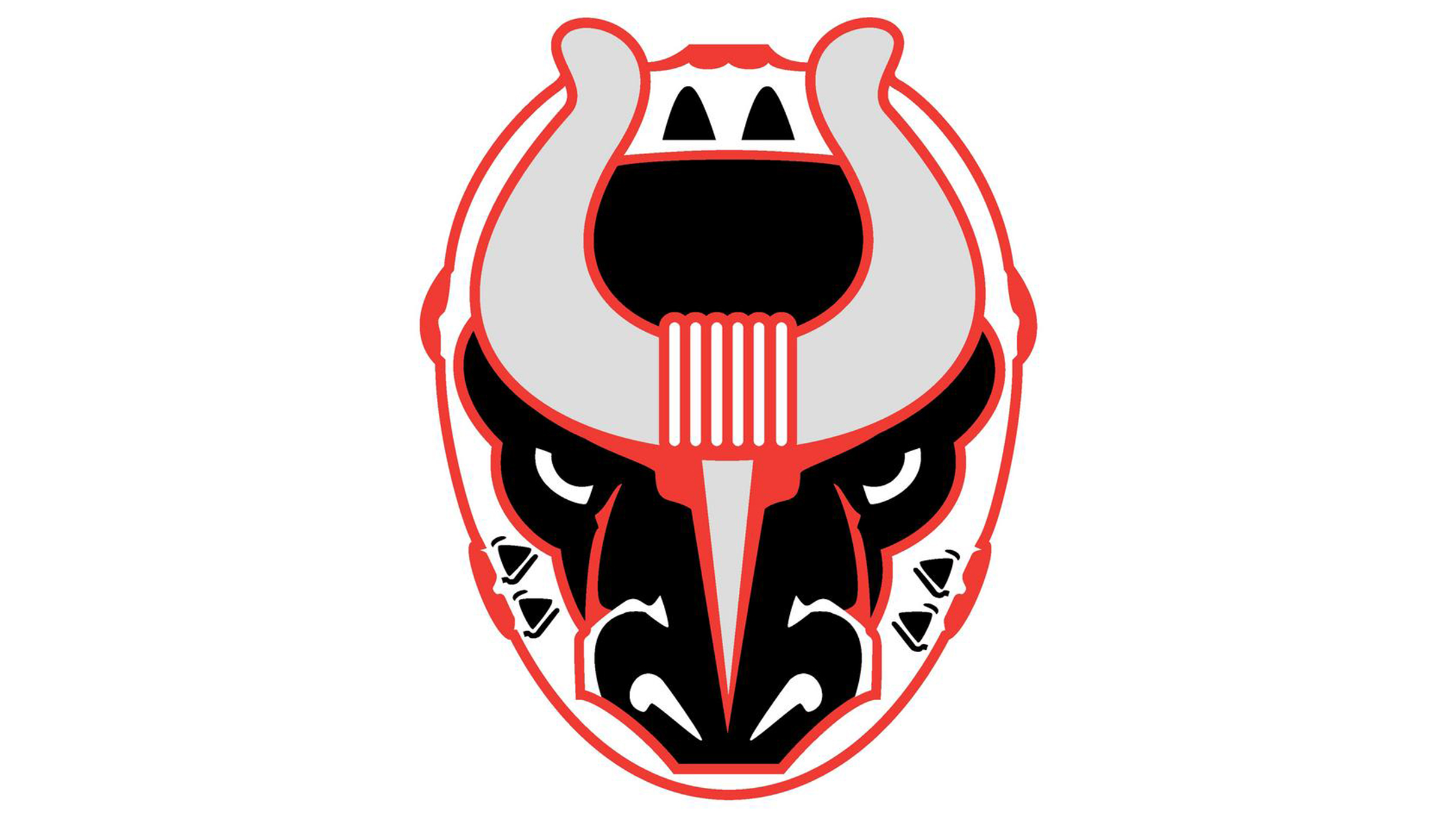 Birmingham Bulls