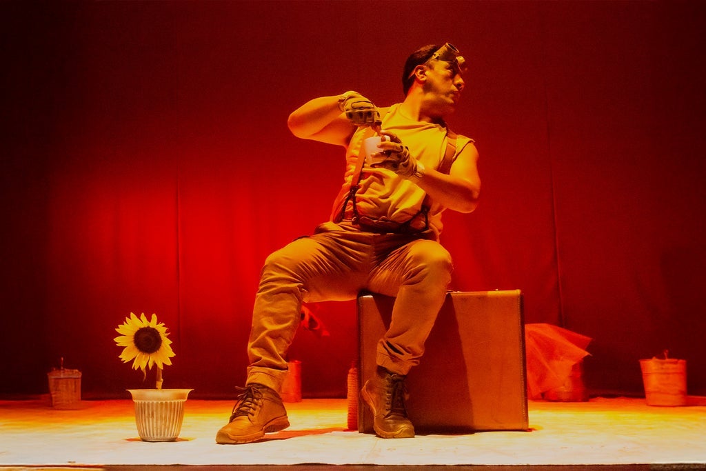 Girasoles en la Luna