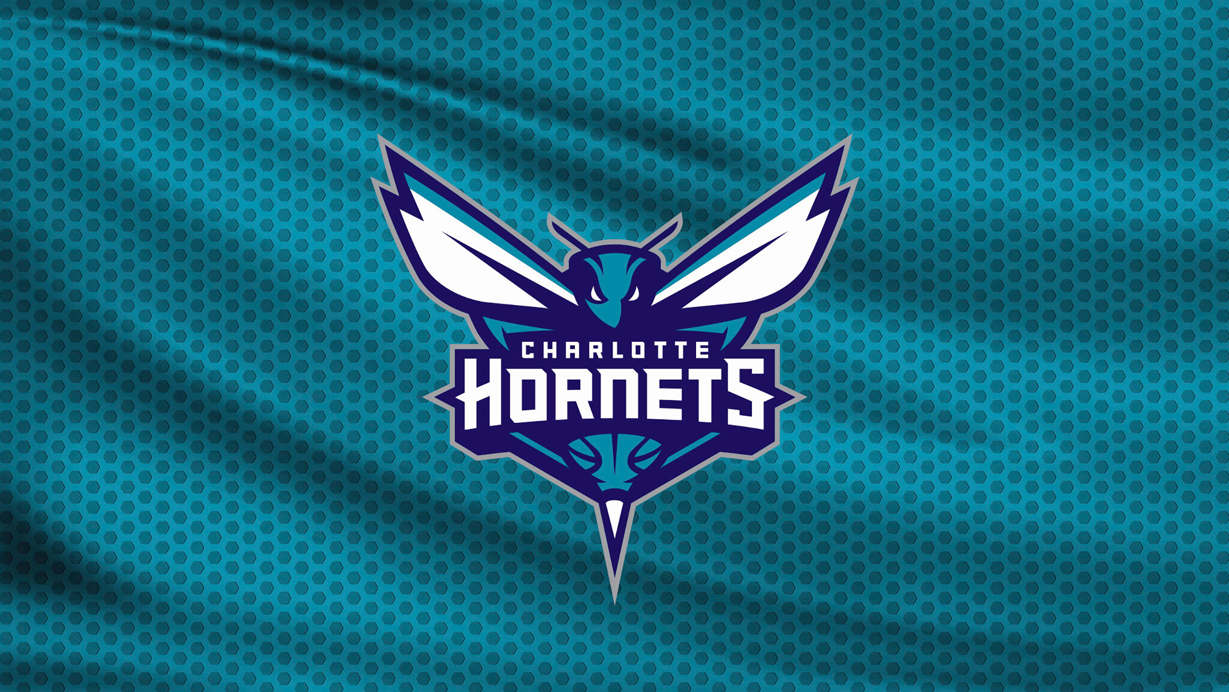 Charlotte Hornets vs. Atlanta Hawks