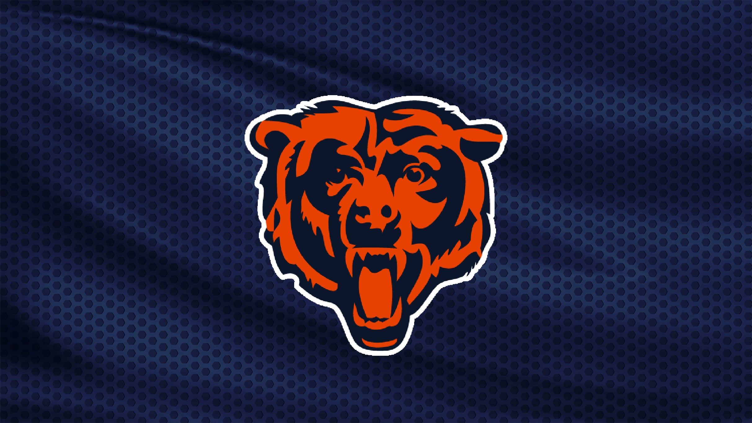 Chicago Bears Family Fest 