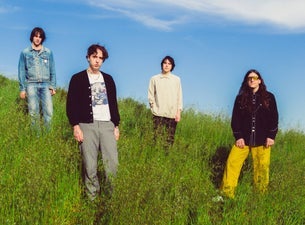 Image of Beach Fossils