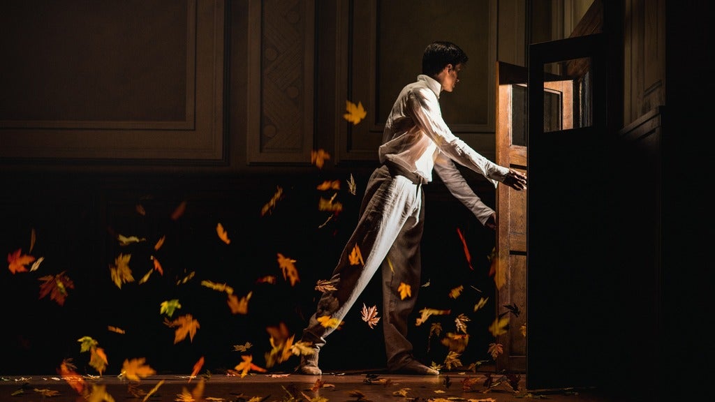 Nederlands Dans Theater - NDT 2 - Image 2