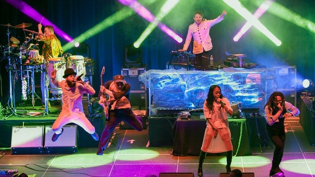 Thievery Corporation