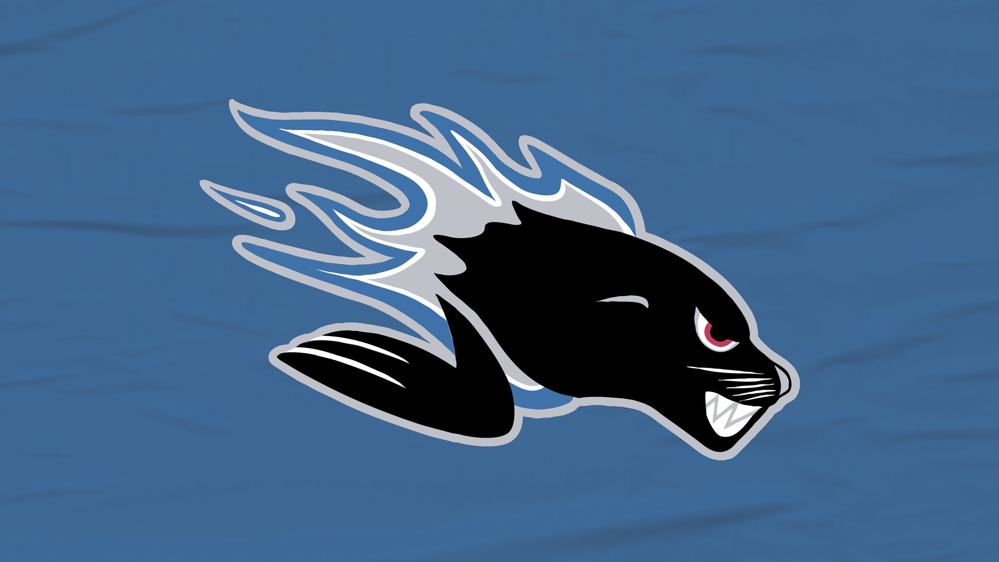 Saint John Sea Dogs Tickets 20222023 Minor League Tickets & Schedule