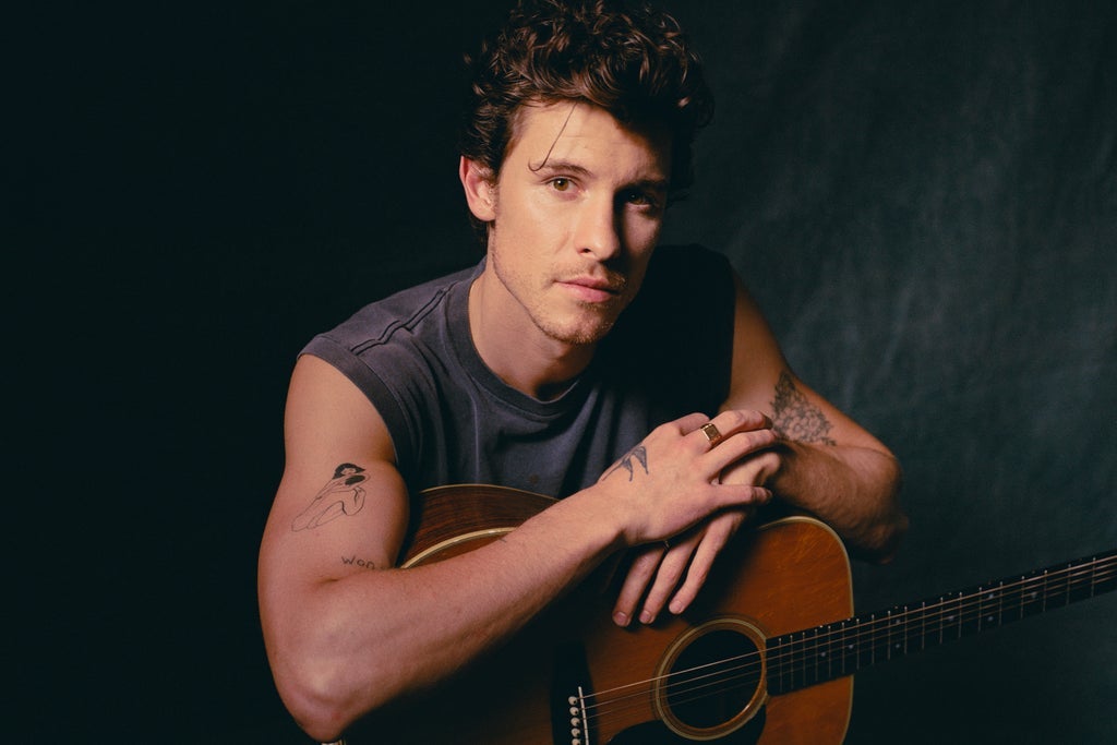 Shawn Mendes - On the Road Again