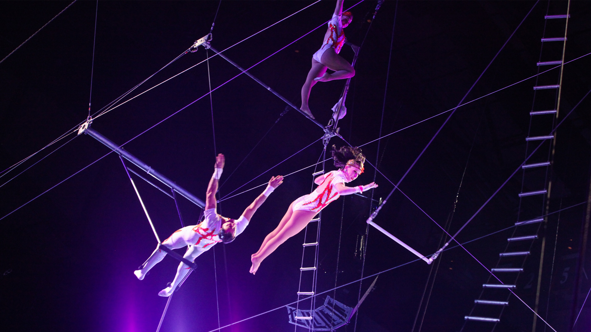 Mizpah Shrine Circus Tickets Event Dates & Schedule