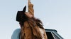 Alyssa Bonagura - America's Backroads Tour
