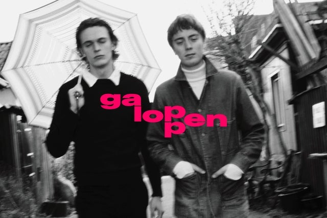 Galoppen x Clean Out Louis x Ababy