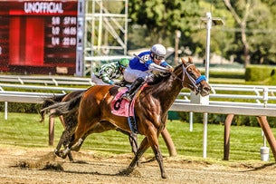 Saratoga Race Course Fourstardave Tables