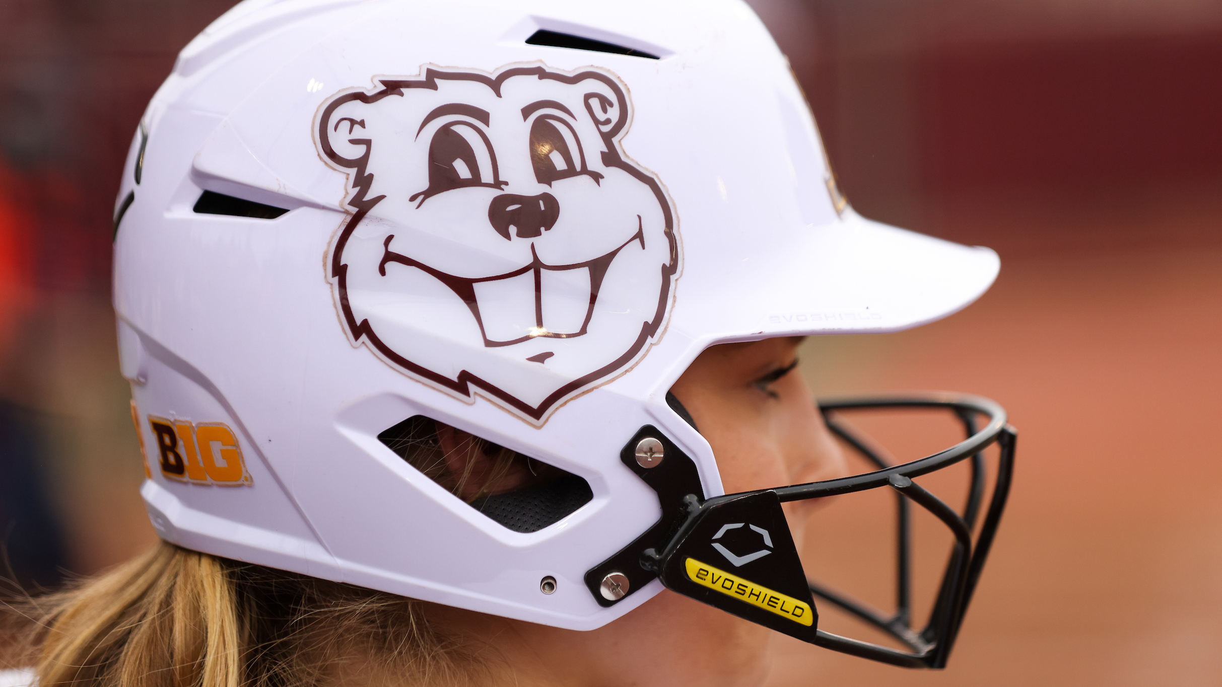 Minnesota Gophers Softball