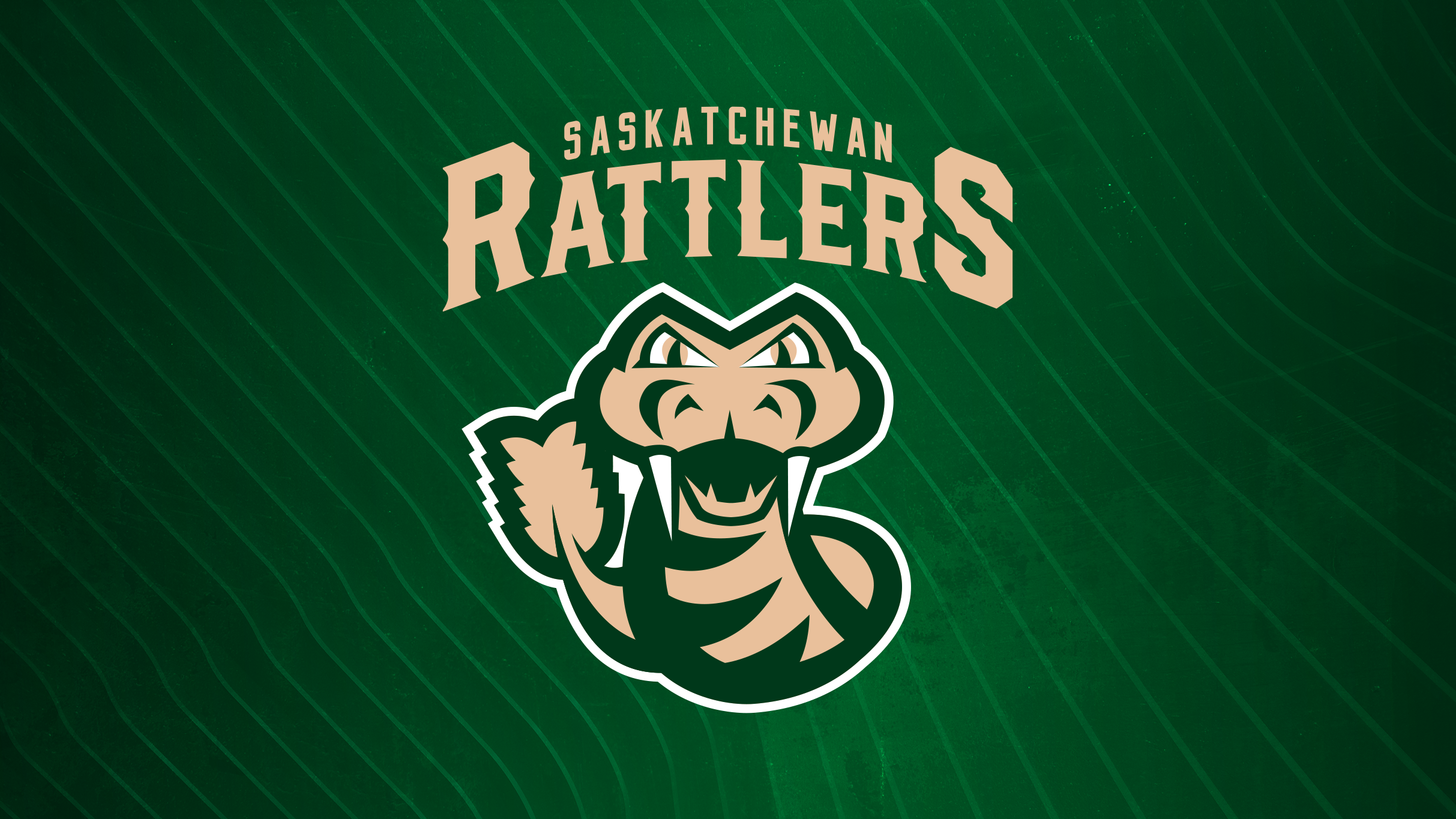 Saskatchewan Rattlers vs. Edmonton Stingers presale code