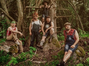 Steve 'n' Seagulls