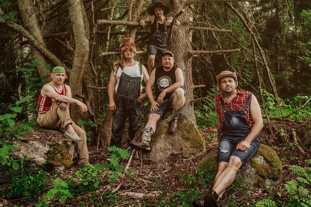 Steve 'n' Seagulls