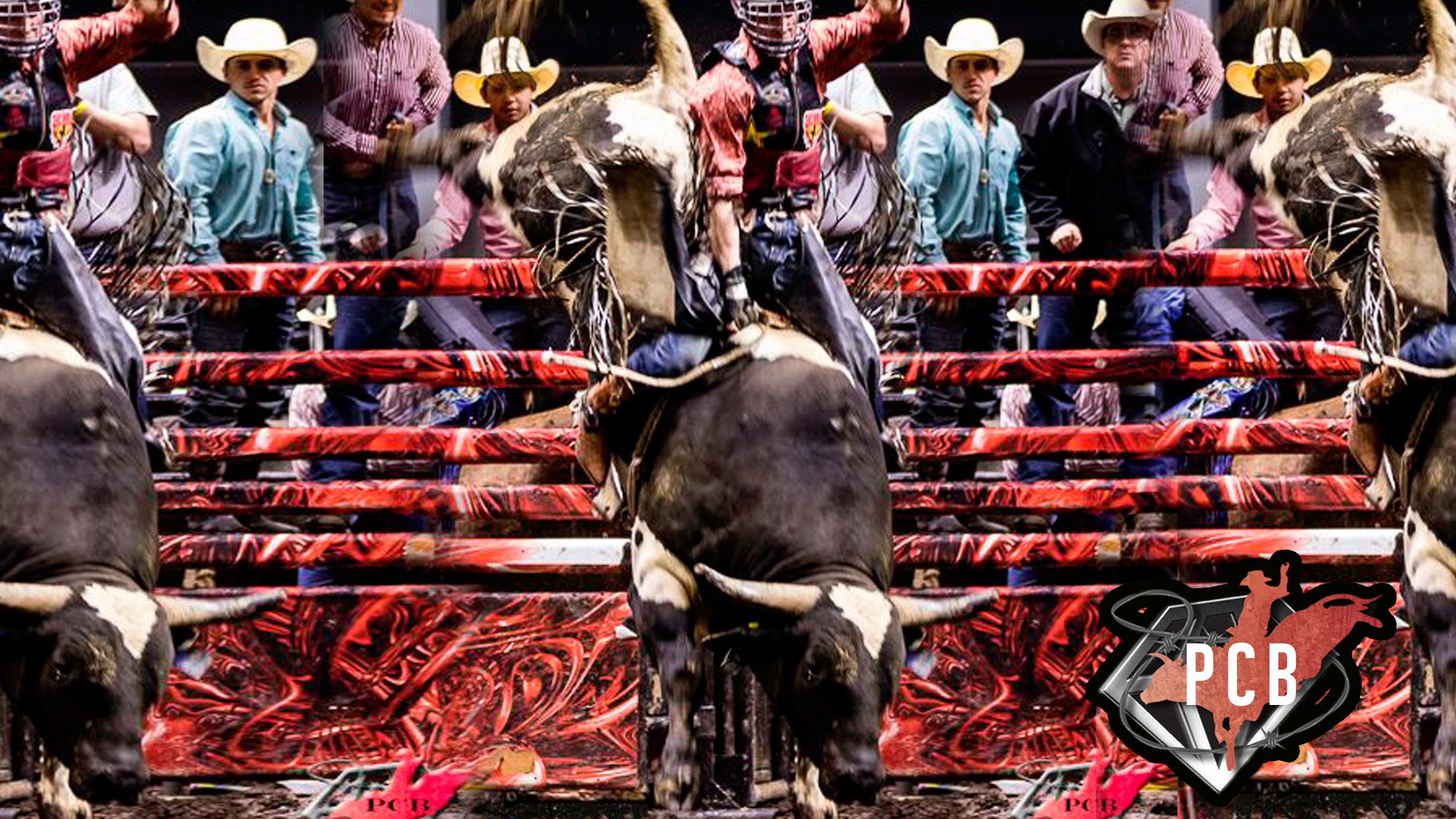 Championship Bull Riding