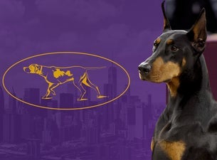 151st Westminster Kennel Club Dog Show - Monday Night Only Seating Plans