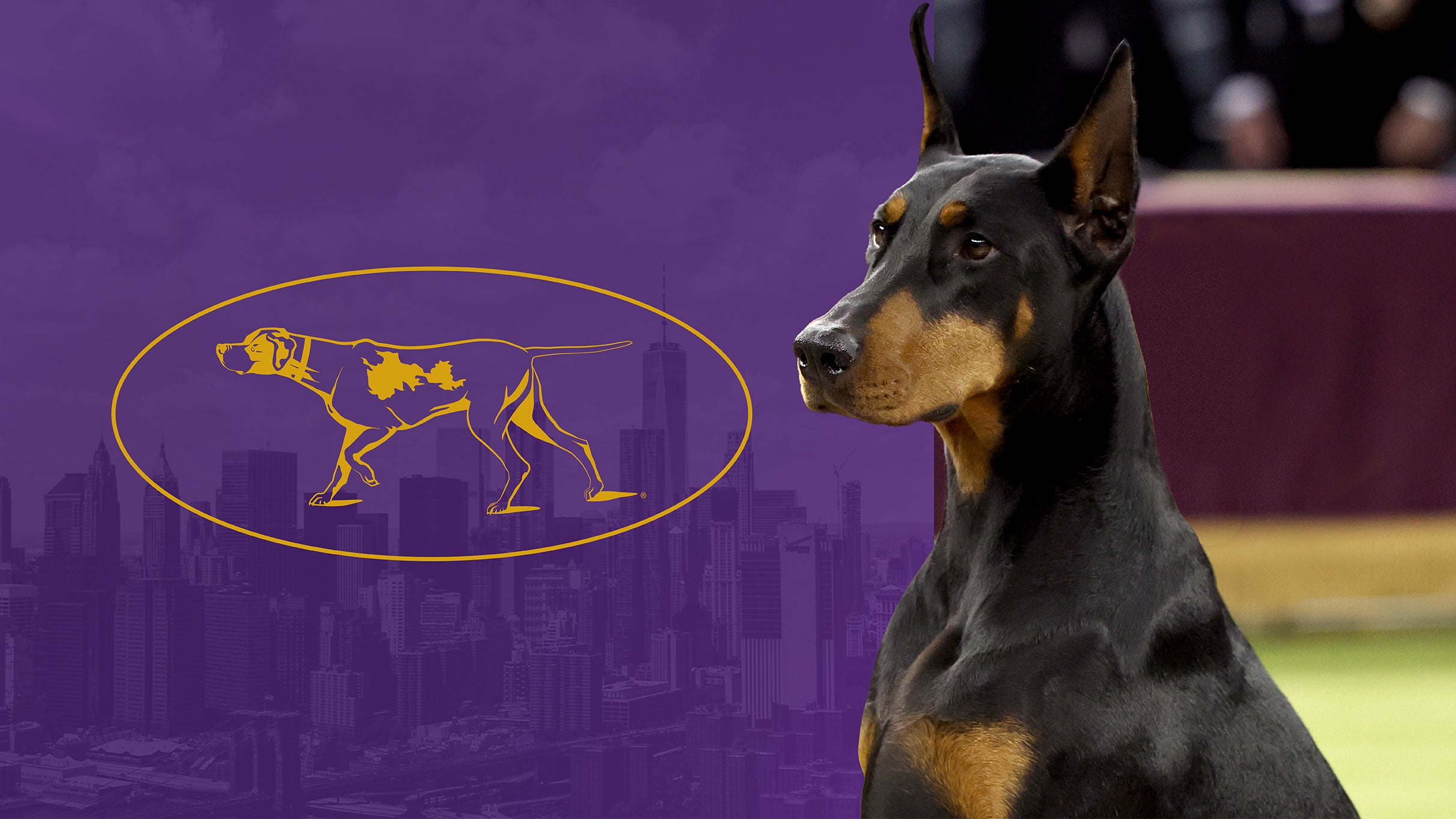 151st Westminster Kennel Club Dog Show - Reserved Two Night Pass