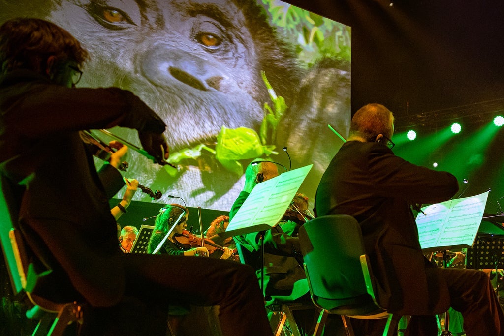 Our Planet Live In Concert