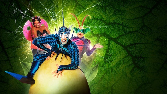 Cirque Du Soleil: OVO in 3Arena, Dublin 20/04/2024