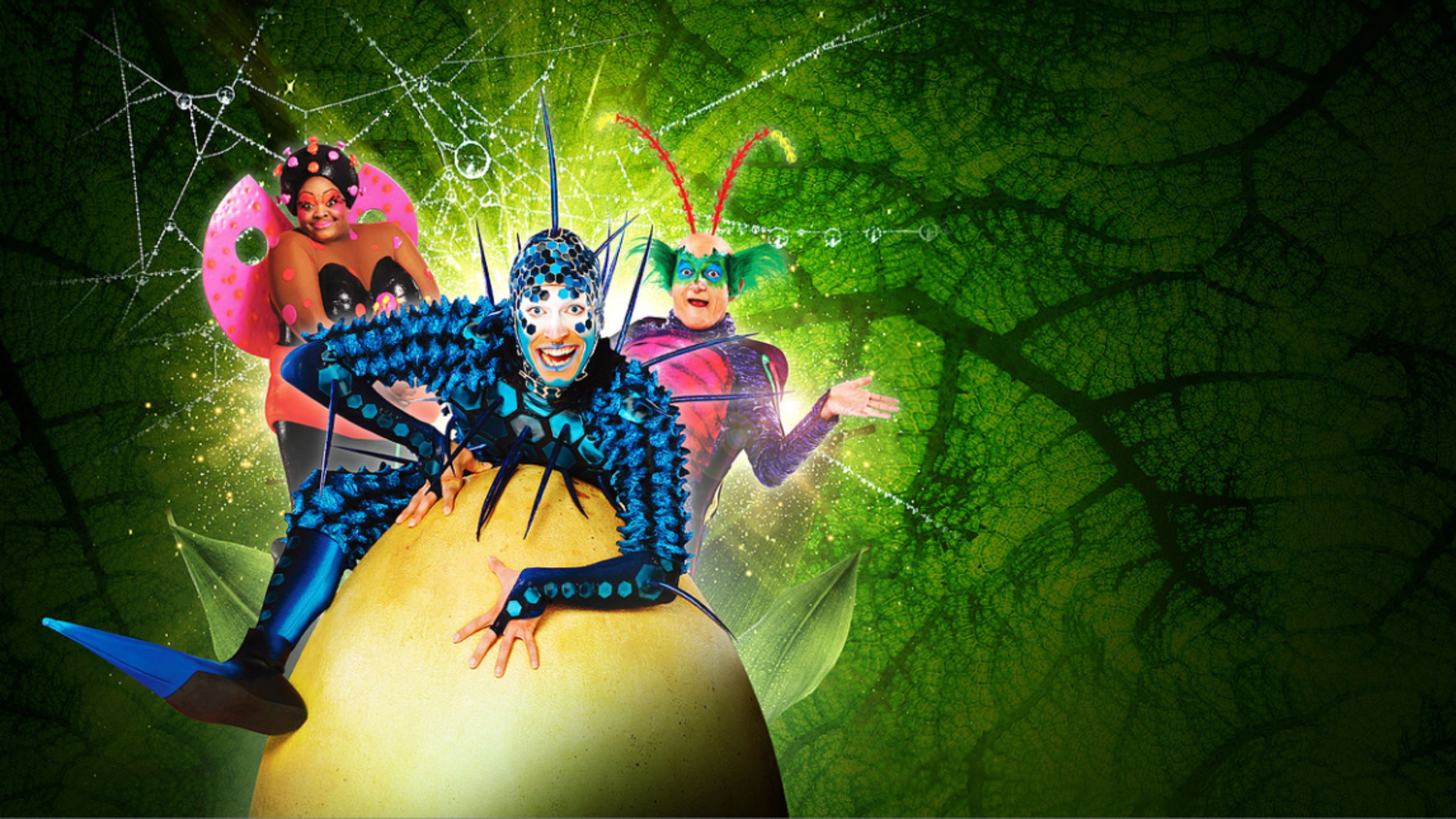 Cirque Du Soleil: OVO in Dublin promo photo for MCD presale offer code