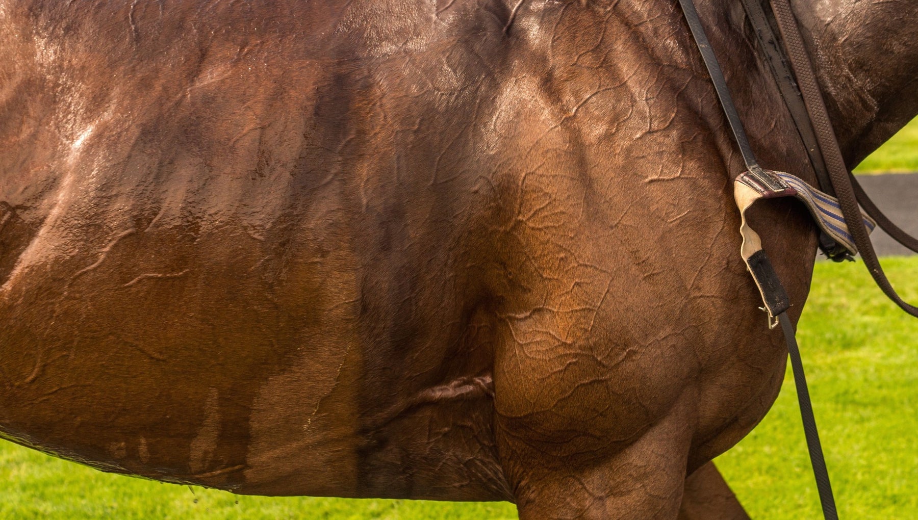 Keeneland Horse Racing Tickets Single Game Tickets Schedule keeneland-horse-racing-tickets-single-game-tickets-schedule