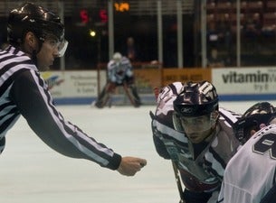 Charlotte Checkers vs. Hartford Wolf Pack