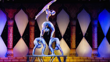 Cirque du Soleil : Quidam