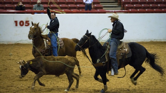 Wild Horses Professional Rodeo