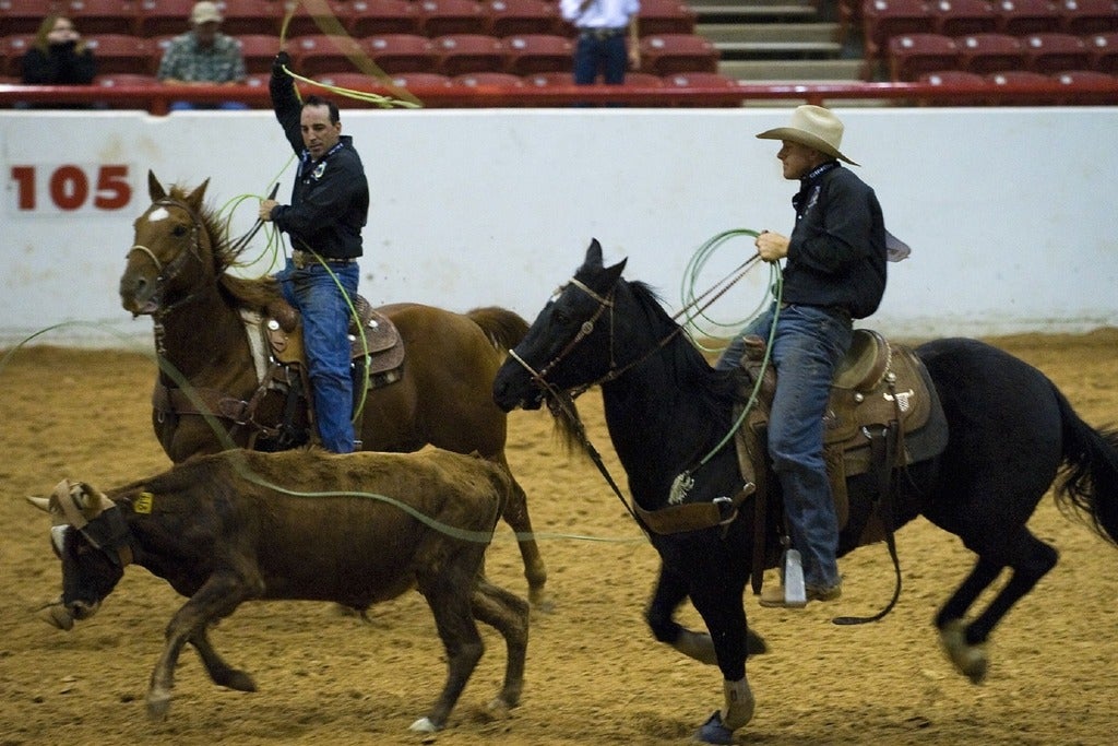 Sioux City Stampede PRCA Rodeo