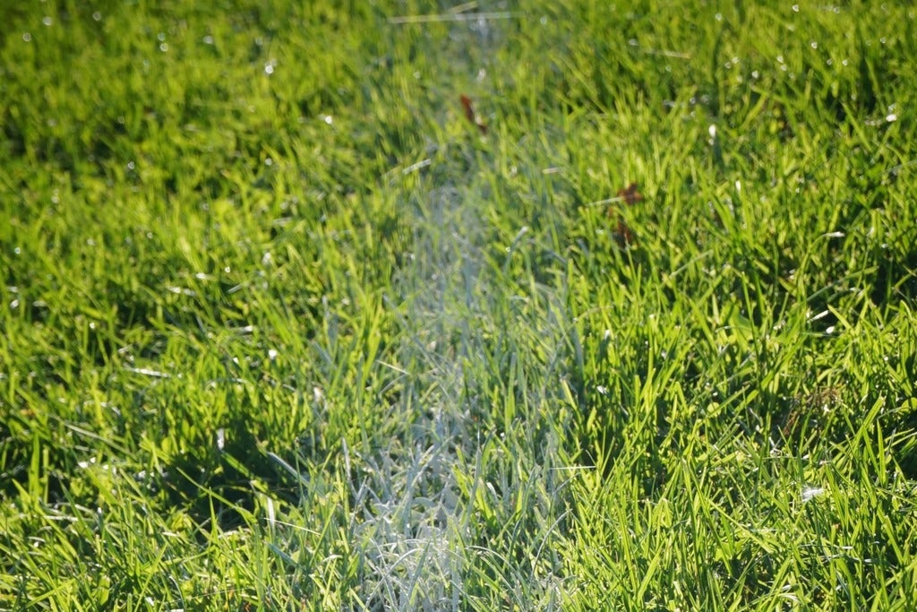 Carolina Energy vs. Triangle Torch