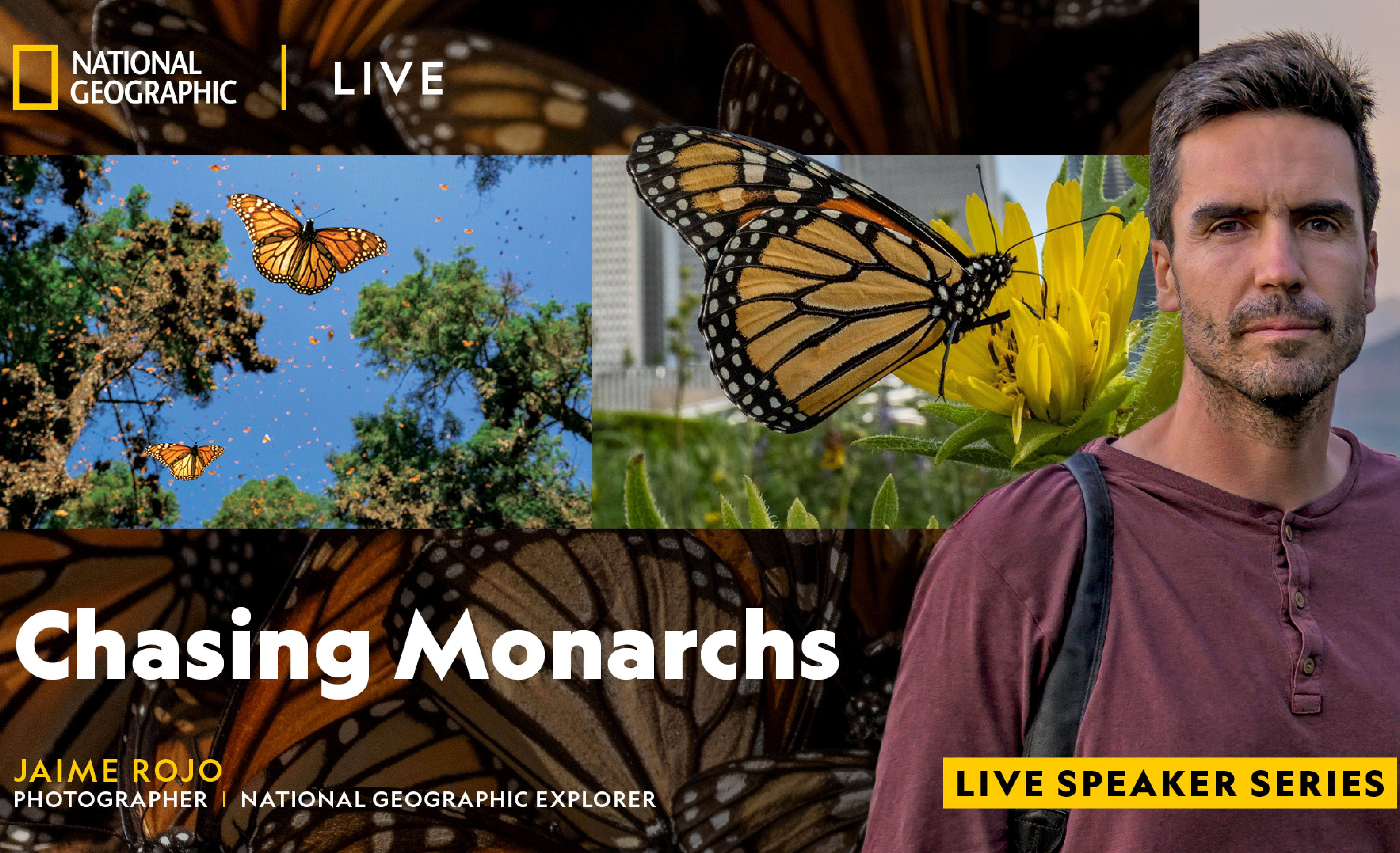National Geographic Live: Chasing Monarchs