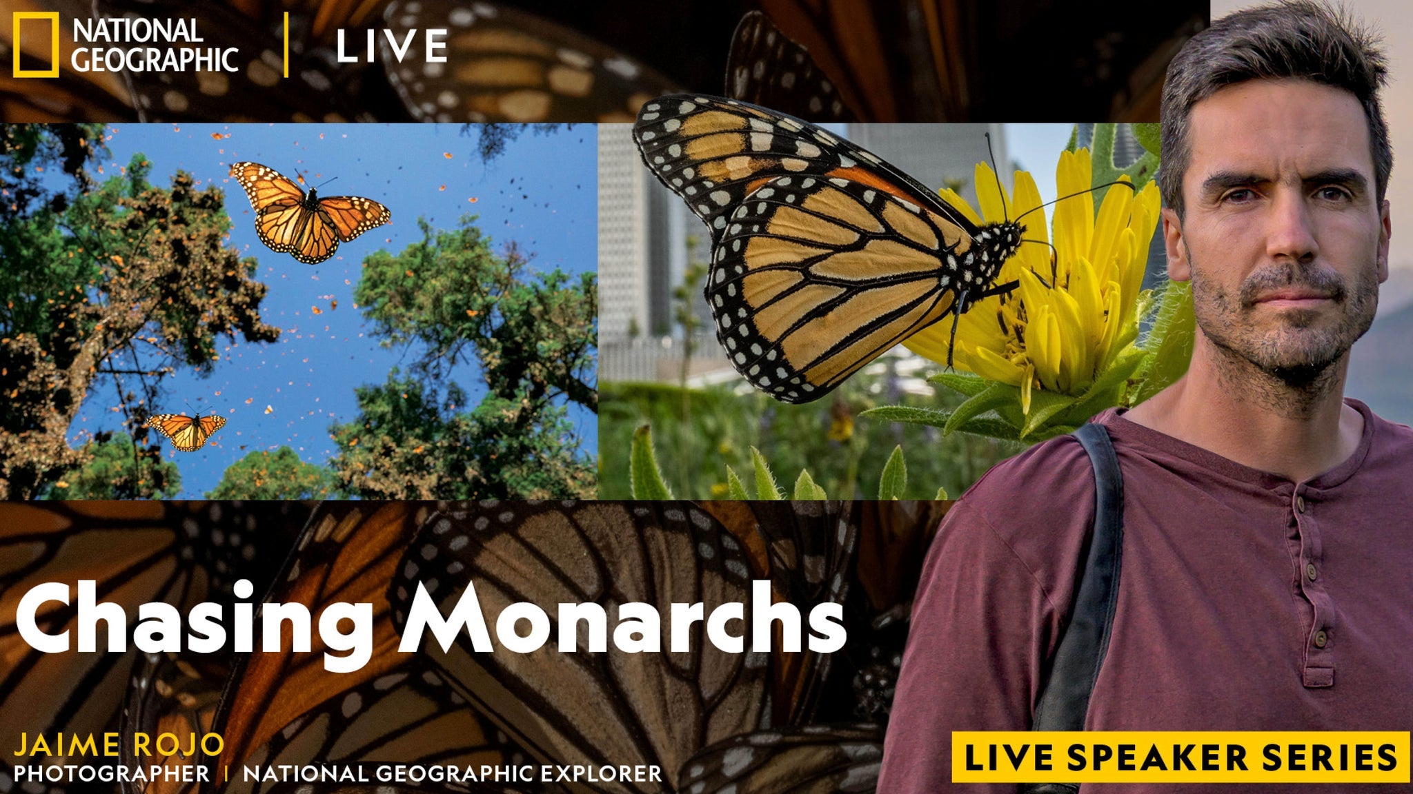 National Geographic Live: Chasing Monarchs