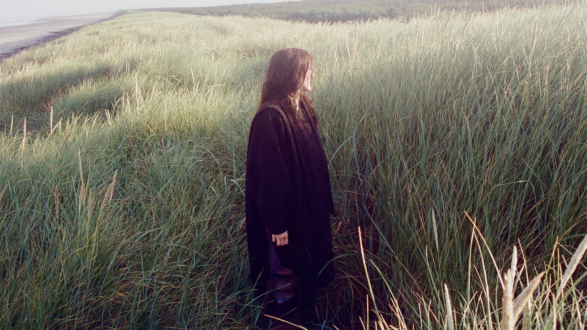 Searows - Death in the Business of Whaling