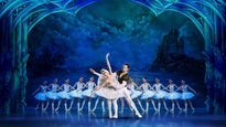 Swan Lake by The United European Ballet Company