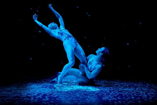 Presale codes for pilobolus: members use these when buying pre-sale tickets