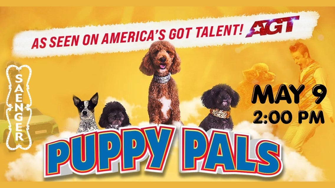 Photo of Puppy Pals Live - The Action-Packed Comedic Stunt Dog Show
