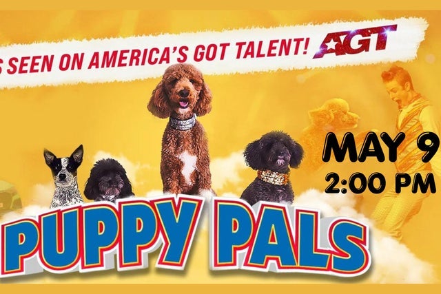 Presales to puppy pals live the action packed comedic stunt dog show: members use these when buying pre-sale tickets