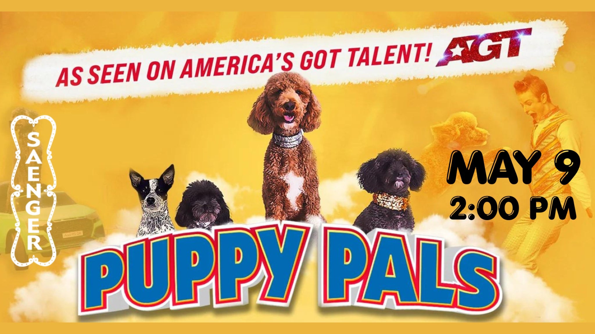 Puppy Pals Live - The Action-Packed Comedic Stunt Dog Show