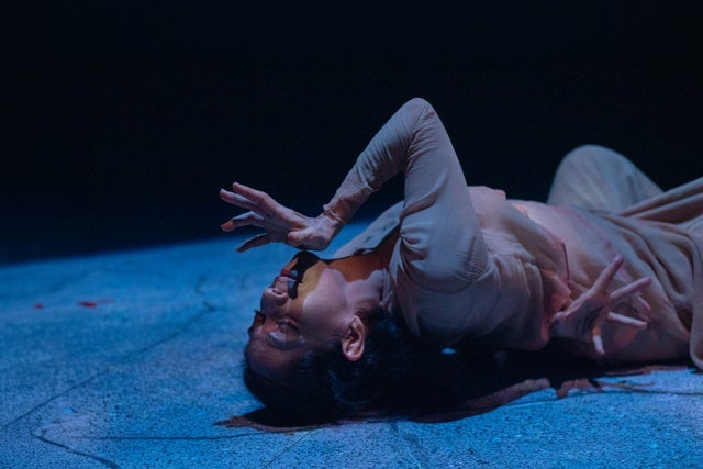 Presales to aditi mangaldas dance company forbidden: members use these when buying pre-sale tickets