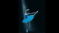 Swan Lake - Symphony of Lights at Five Flags Center